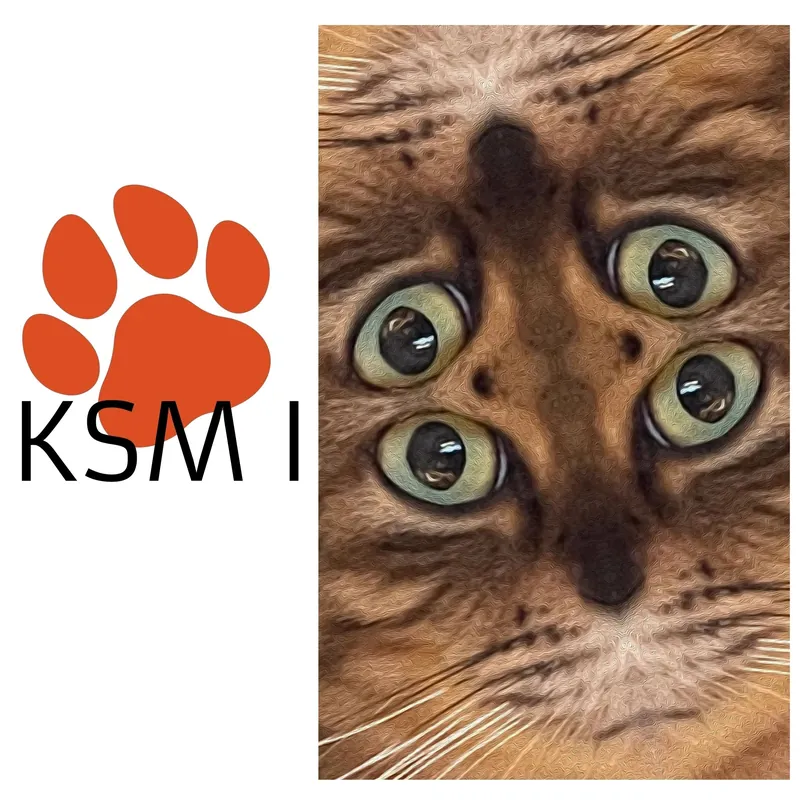 Cover of KSM Vol. I: the paw logo next to a cat with four eyes